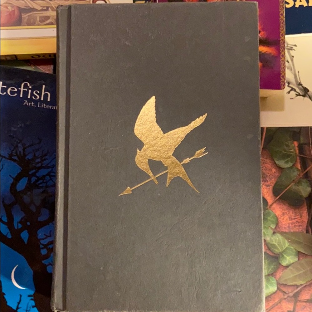 The hunger games book